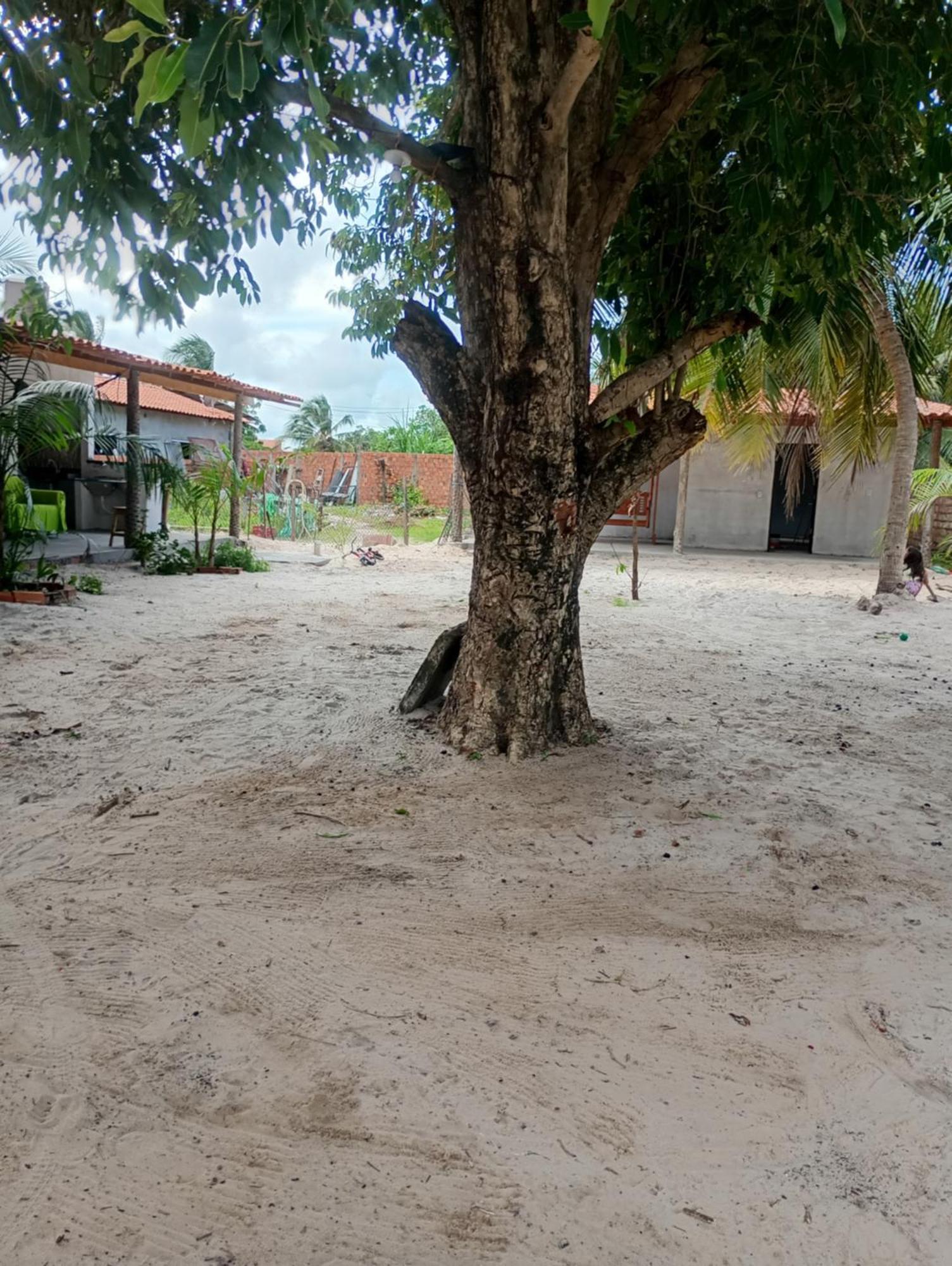 Pousada Shalom E Hostel Holly Land Santo Amaro do Maranhao 외부 사진