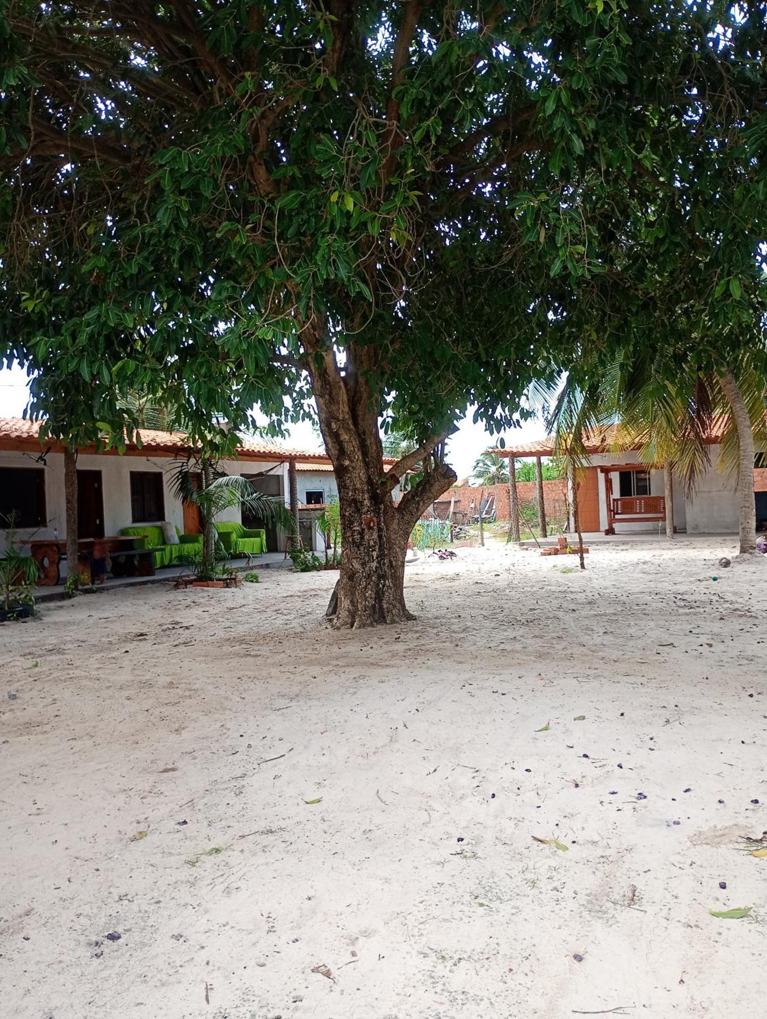 Pousada Shalom E Hostel Holly Land Santo Amaro do Maranhao 외부 사진